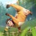 Making of Happy Cow