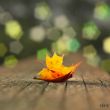 Depth of field