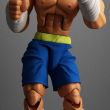 sagat