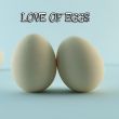 Yumurtaların sevgisi