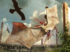 Dragon Crashed Against Noise Barrier